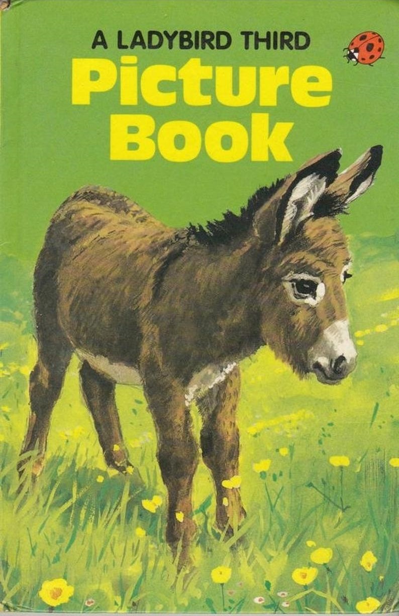 Ladybird Third Picture Book (Series 704)