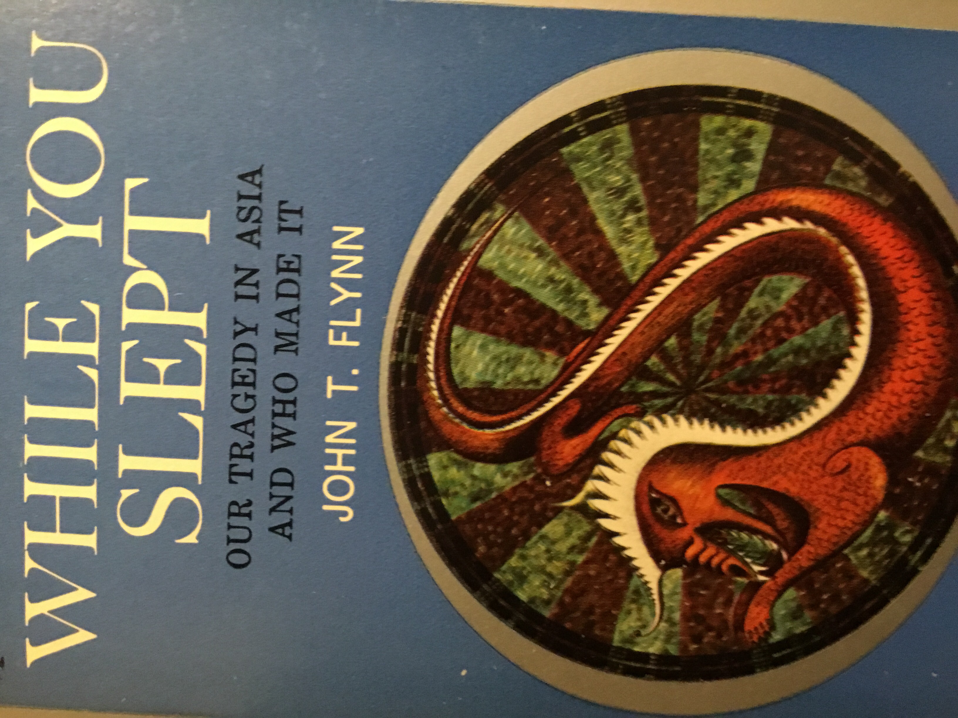 While You Slept (Hardcover)