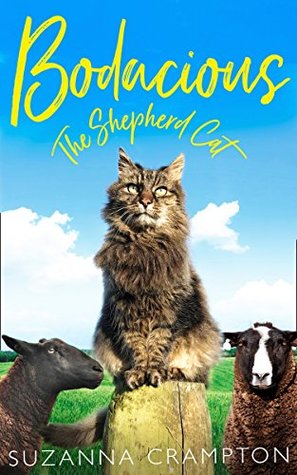 Bodacious (Hardcover)