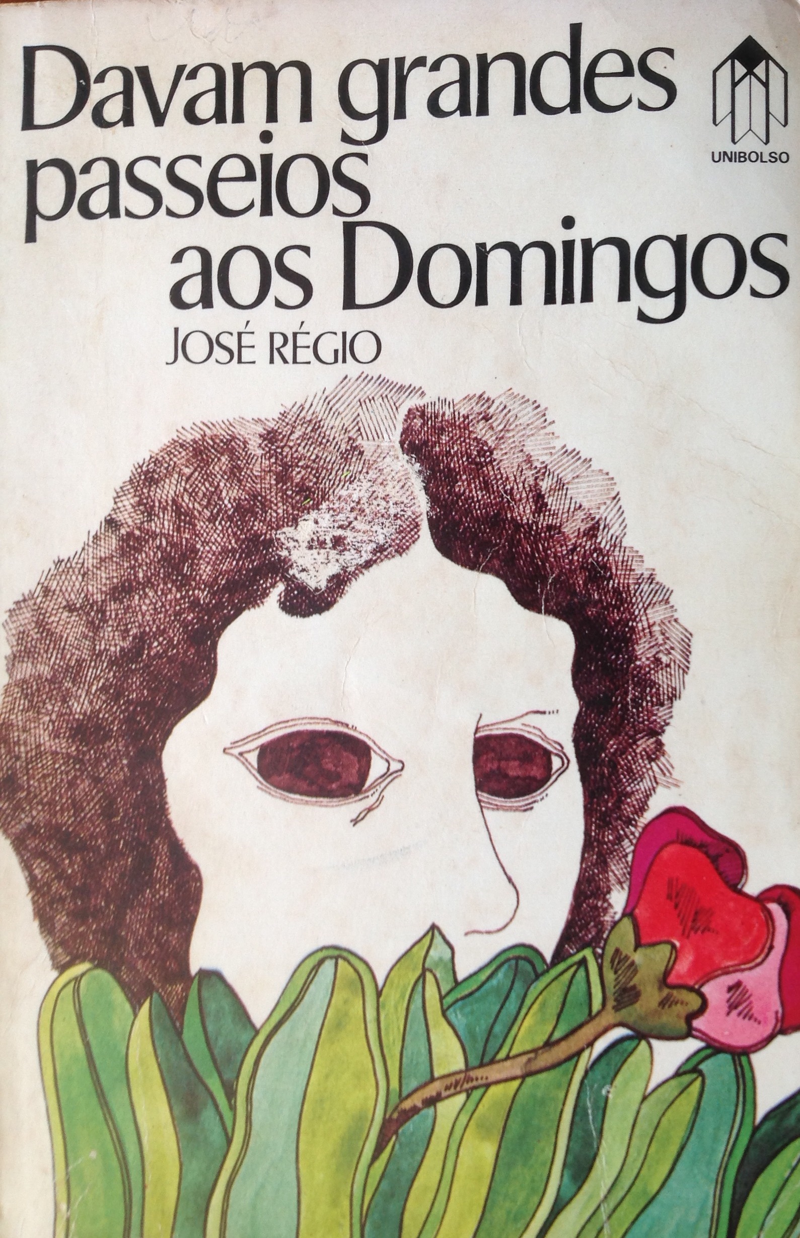 Davam Grandes Passeios Aos Domingos (Paperback)