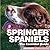 Springer Spaniels: The Esse...