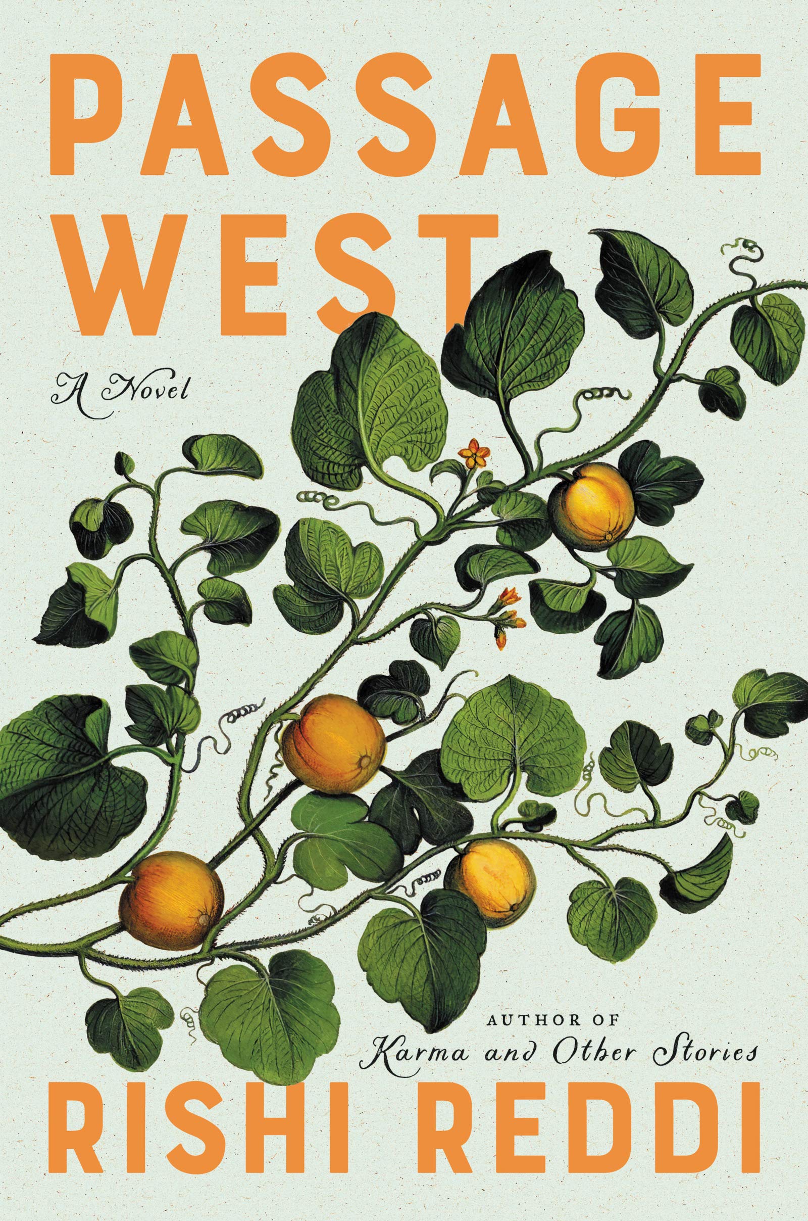 Passage West (Hardcover)