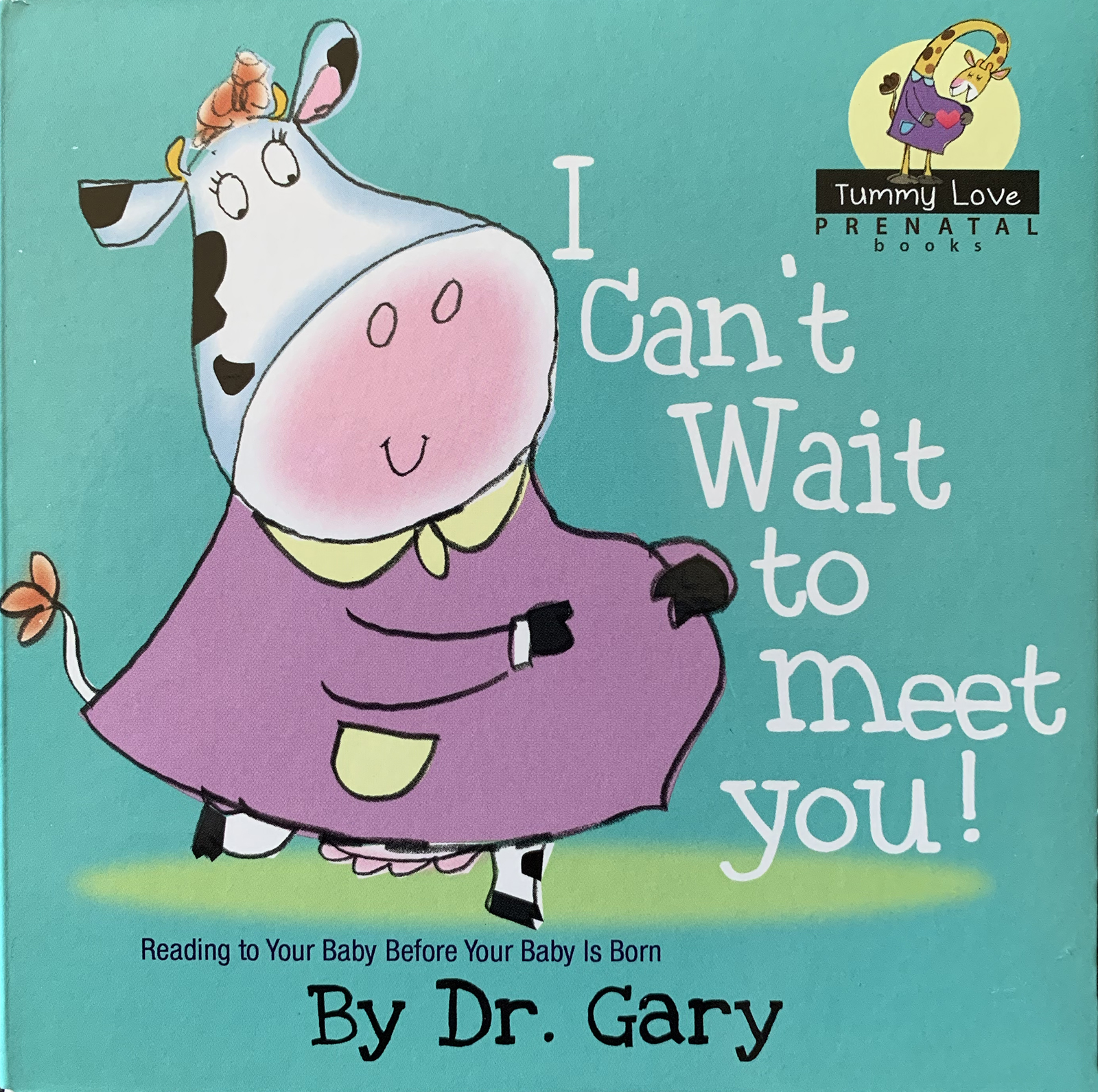 I Can't Wait To Meet You! (Tummy Love Prenatal Books)