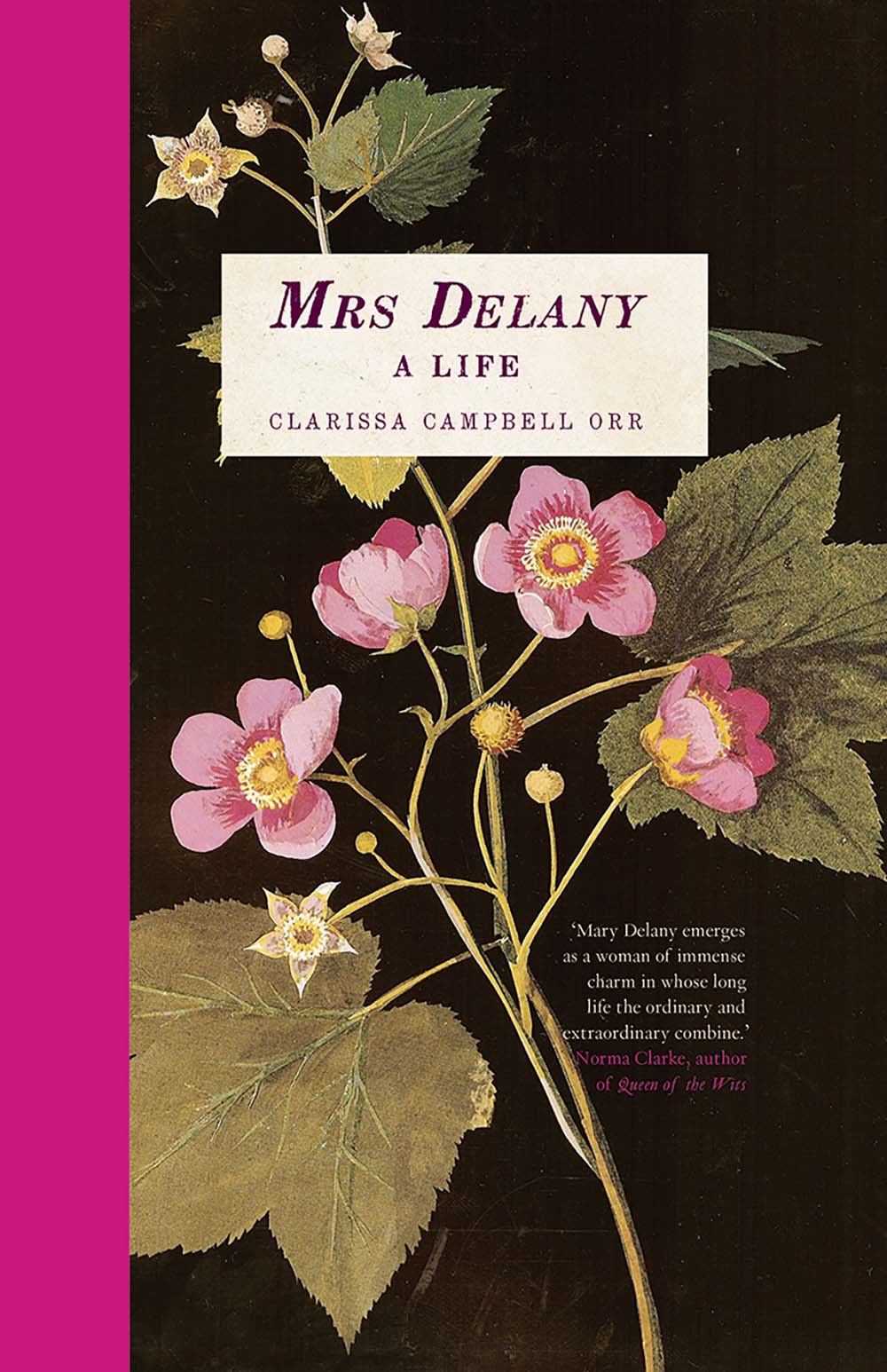 Mrs Delany: A Life (Hardcover)