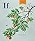 If... by Sarah   Perry