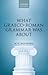 What Graeco-Roman Grammar Was About by Peter Hugoe Matthews
