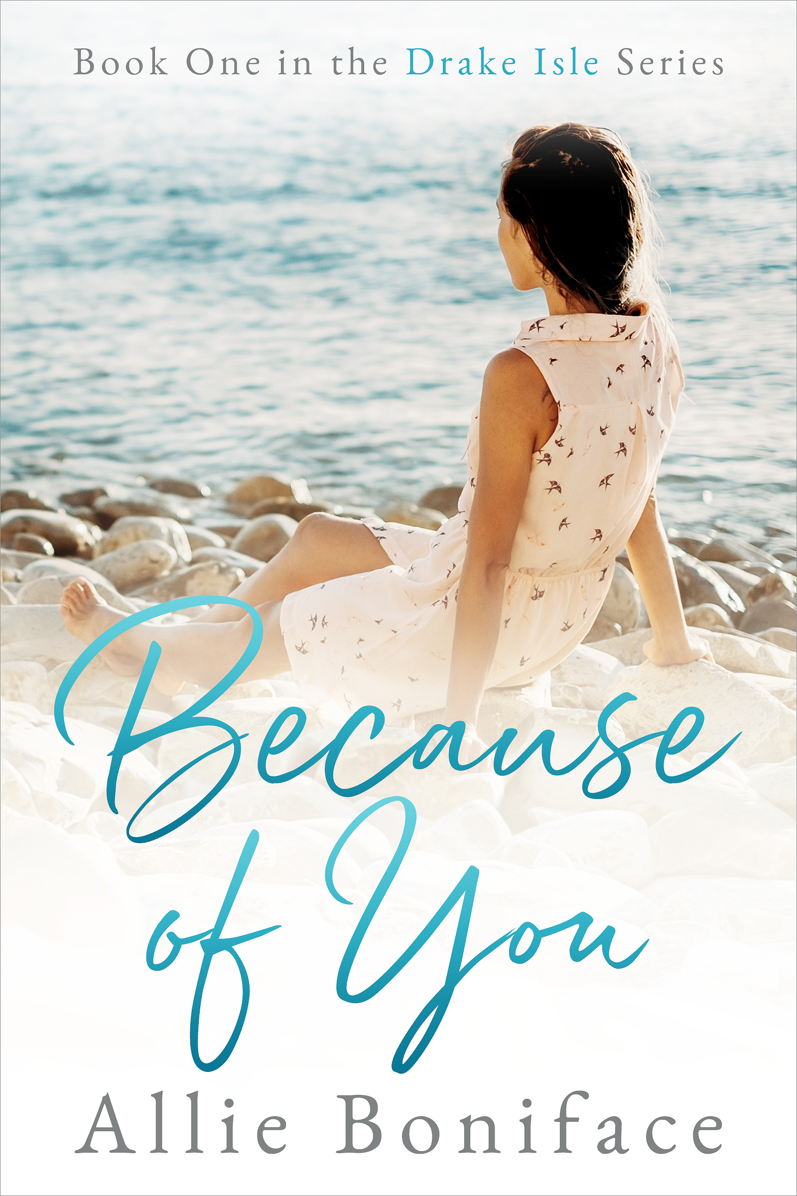 Because of You (Drake Isle #1)
