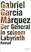 Der General in seinem Labyrinth by Gabriel García Márquez