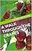 A Walk Through the Grapes