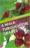 A Walk Through th...