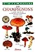 Les champignons