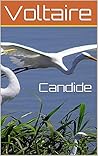 Candide