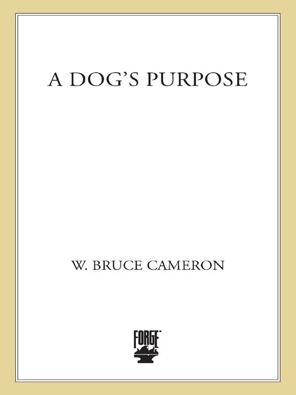 A Dog's Purpose