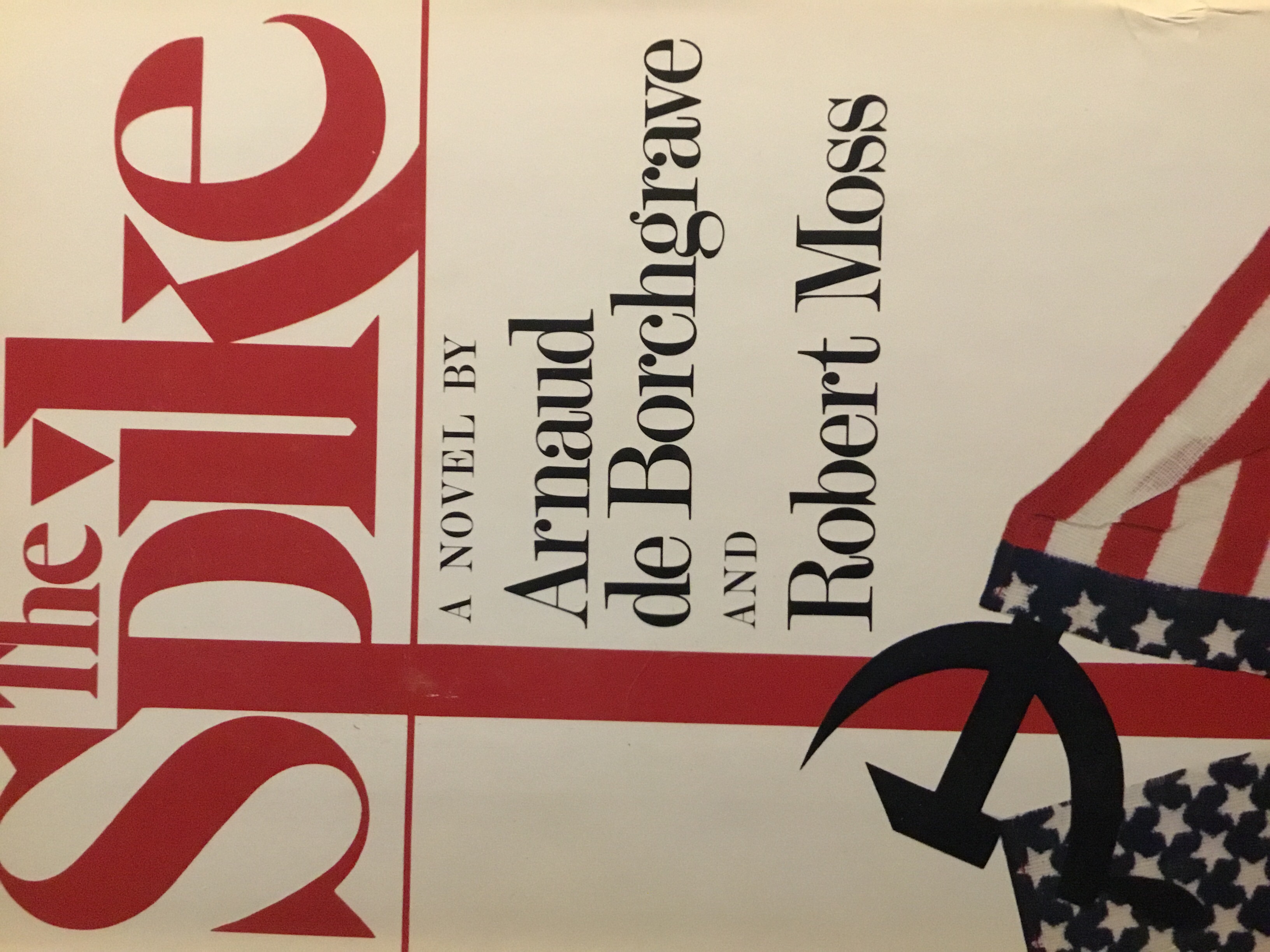 The Spike (Paperback)