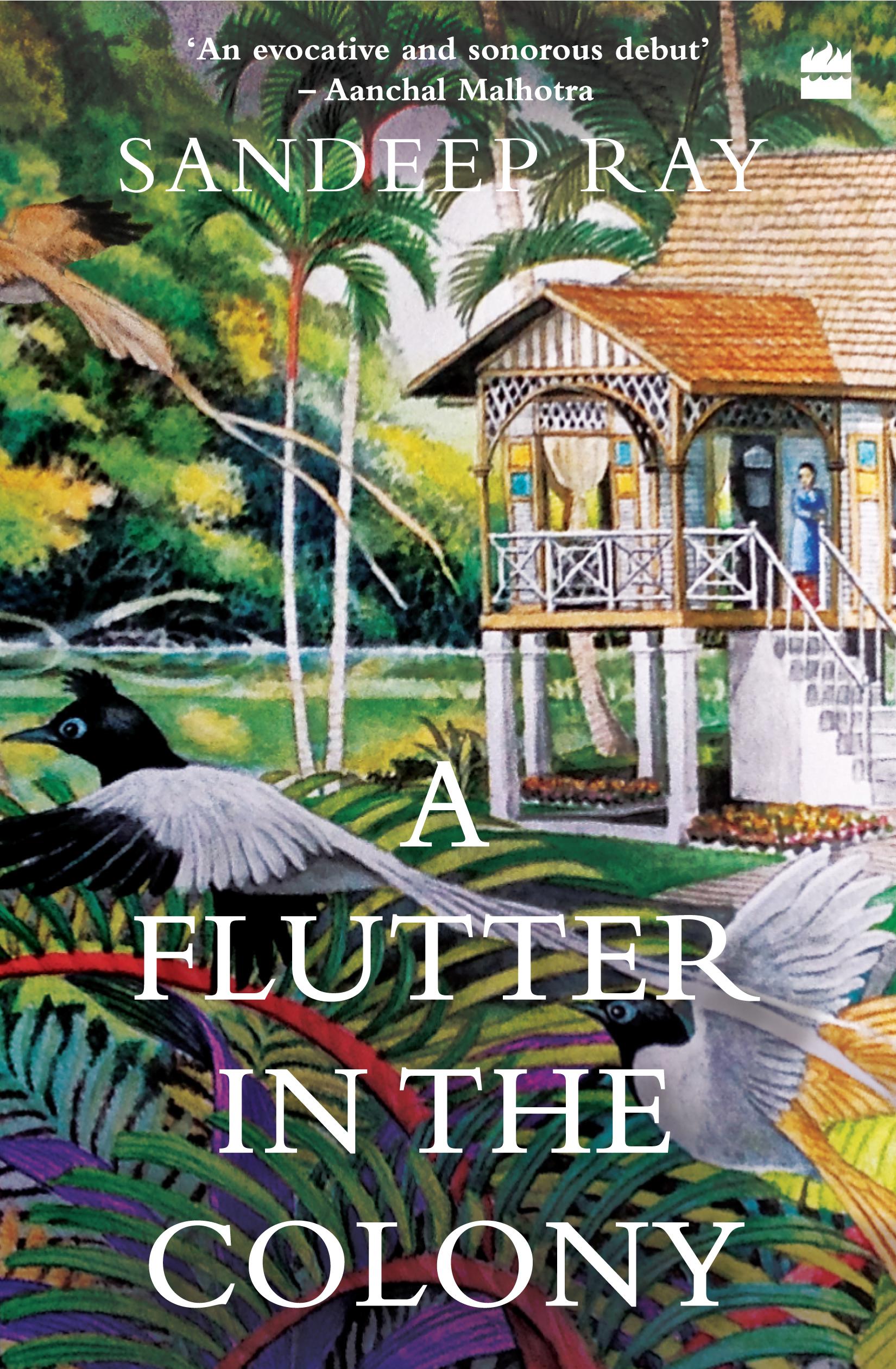 A Flutter in the Colony (Paperback)