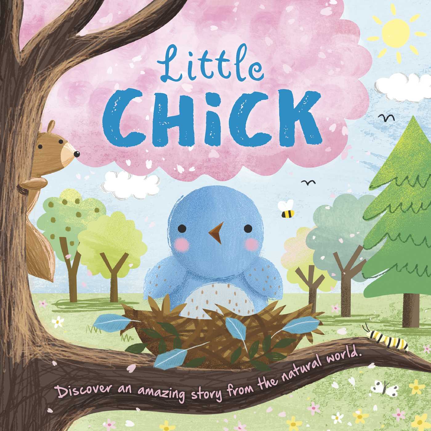 Little Chick (Board Book)