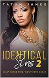 Identical Sins 2