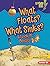 What Floats? What Sinks?: A Look at Density (Lightning Bolt Books ® — Exploring Physical Science)