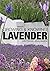 Growing & Knowing Lavender