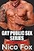Gay Public Sex Series: Book...
