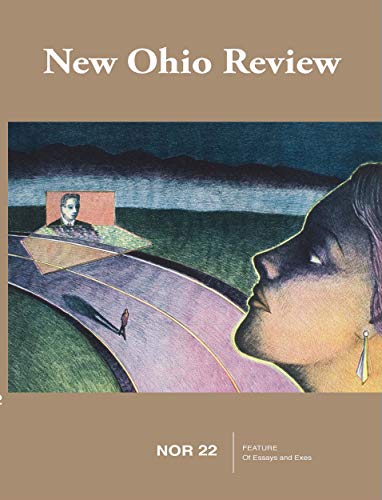 New Ohio Review Issue #22, Fall 2017 (Kindle Edition)