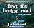Down the Broken Road (Rachel Carver #2)