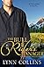 The Bull Rider's Manager by Lynn Collins