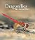 Dragonflies and Damselflies: A Natural History