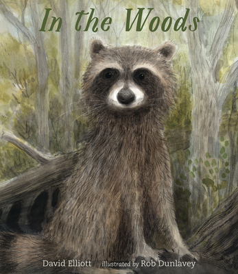 In the Woods (Hardcover)