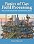 Basics of Gas Field Process...