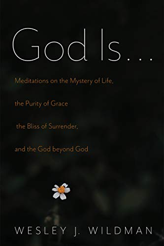 God Is . . .: Meditations on the Mystery of Life, the Purity of Grace, the Bliss of Surrender, and the God beyond God (Kindle Edition)