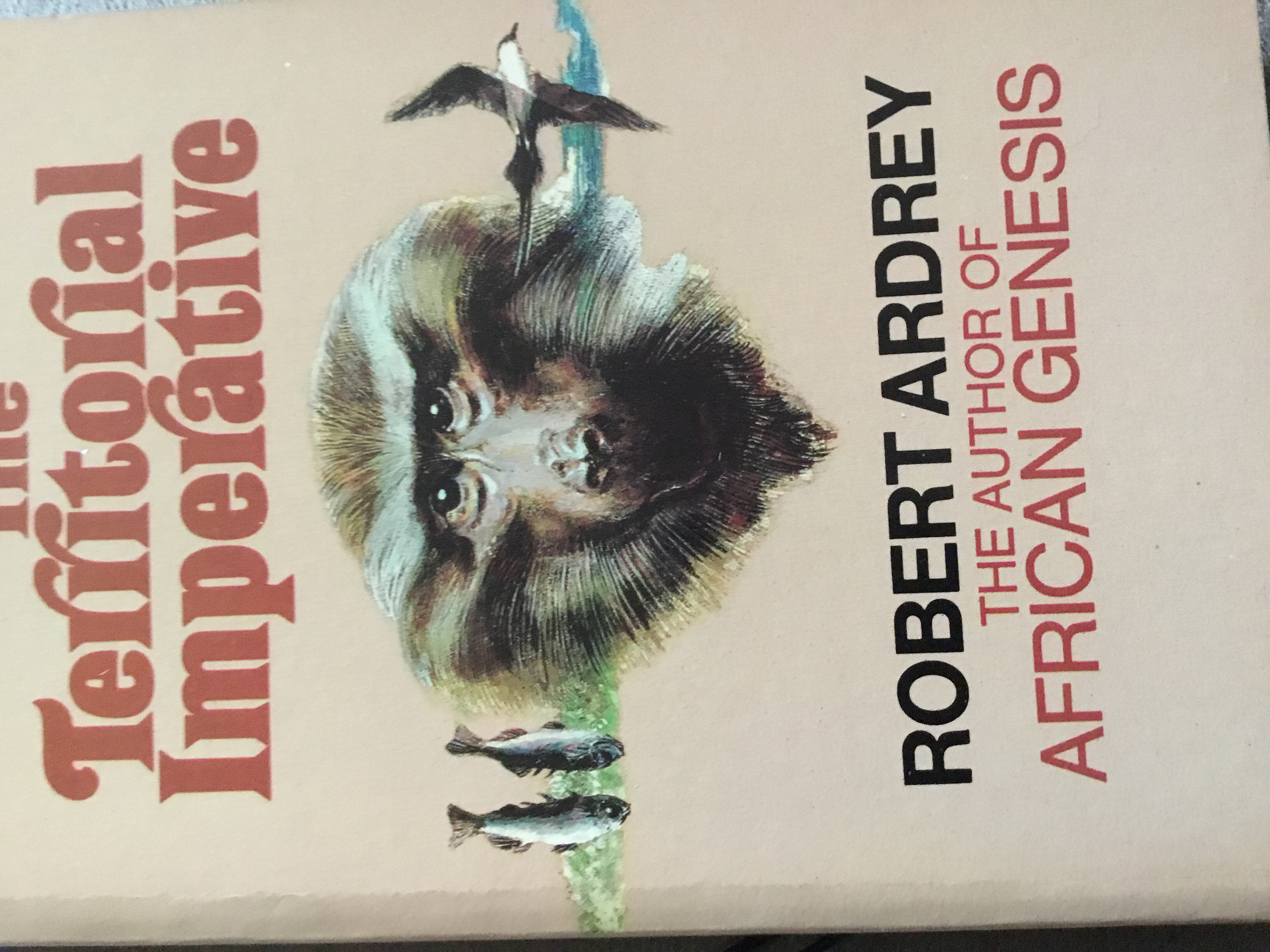 The Territorial Imperative: A Personal Inquiry Into the Animal Origins of Property and Nations (Paperback)