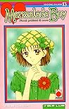 Marmalade boy, Vol. 13 by Wataru Yoshizumi