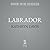 Labrador: A Novel