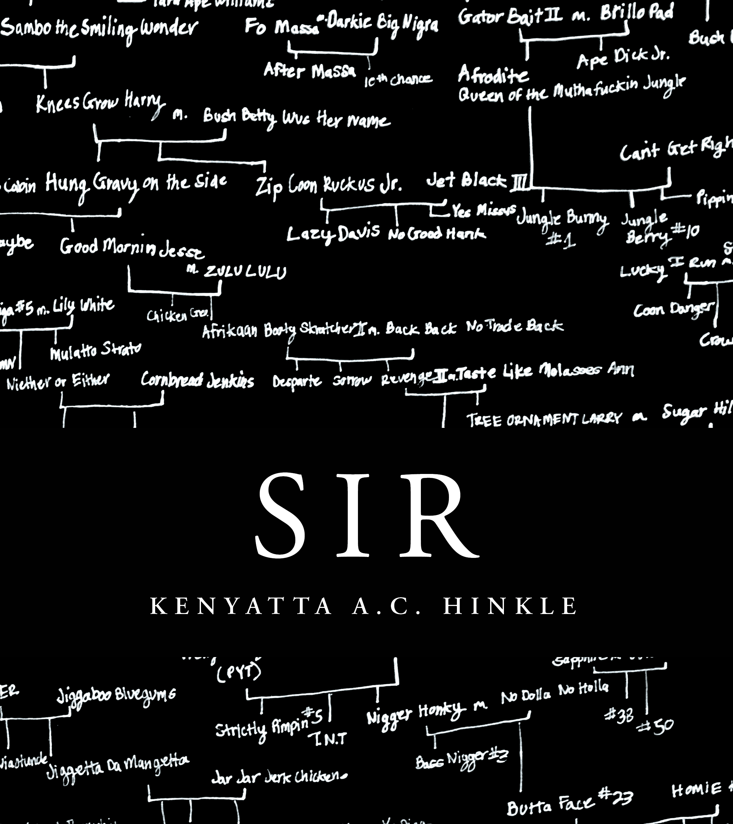 SIR (Paperback)