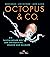 Octopus & Co. : die faszinierende Welt der Tintenfische, Kraken und Kalmare