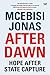 After Dawn: Hope After State Capture