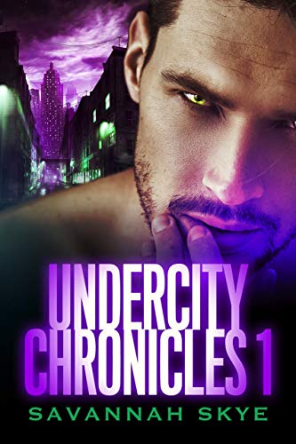 Undercity Chronicles 1 (Undercity Chronicles #1-4)