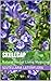 Skullcap: Natural Herbal Li...