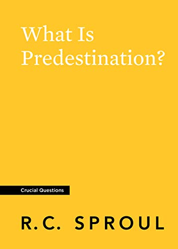 What Is Predestination? (Crucial Questions)