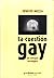 La cuestión gay by Ernesto Meccia