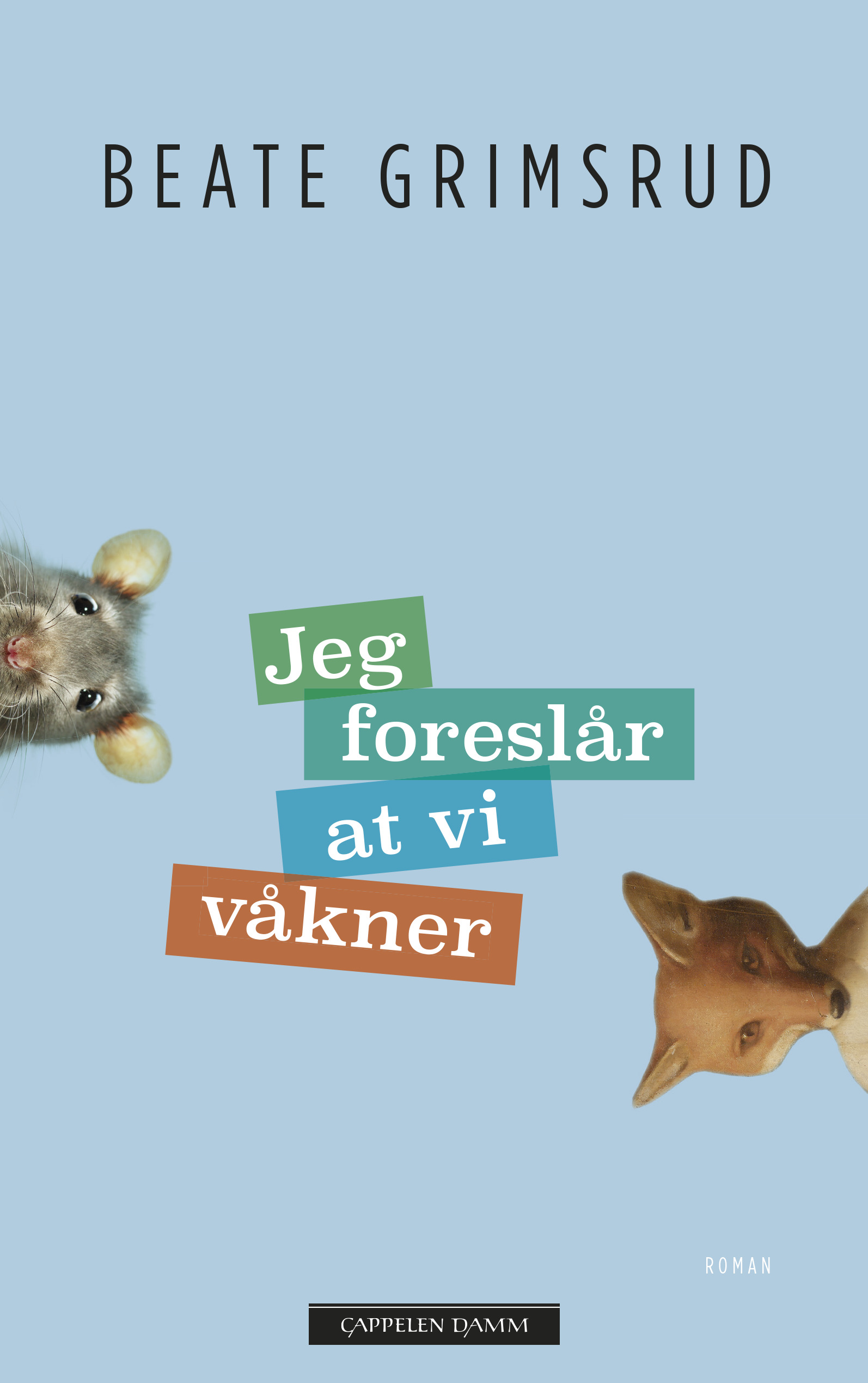 Jeg foreslår at vi våkner (Hardcover)