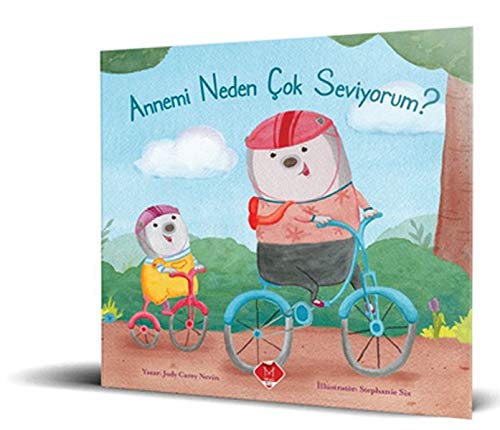 Annemi Neden Cok Seviyorum? (Paperback)