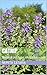 Catnip: Natural Herbal Livi...