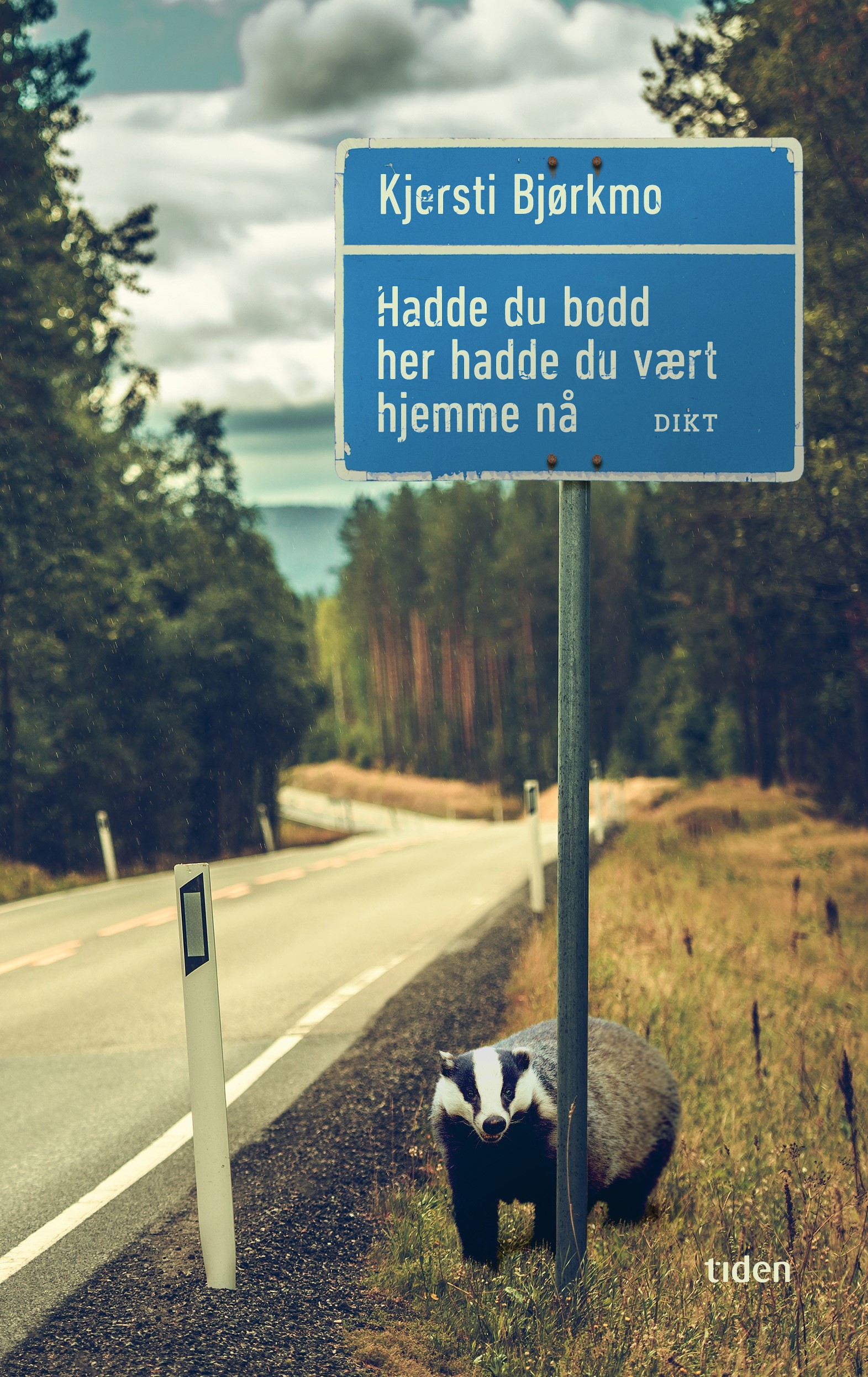 Hadde du bodd her hadde du vært hjemme nå (Hardcover)