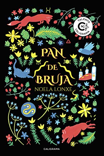 Pan de bruja (Kindle Edition)