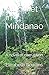 All Quiet in Mindanao: A novel of corruption