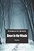 Snow In The Woods by Charlotte Davies