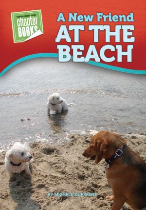 A New Friend at the Beach (Paperback)