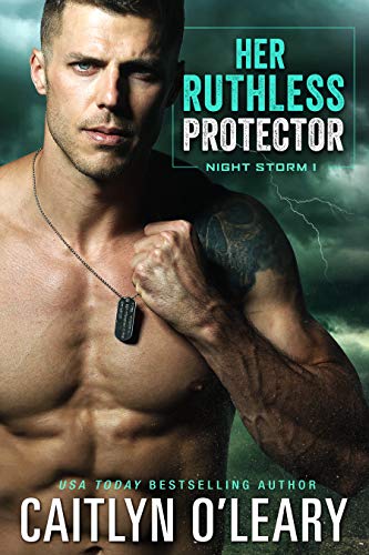 Her Ruthless Protector (Night Storm, #1)